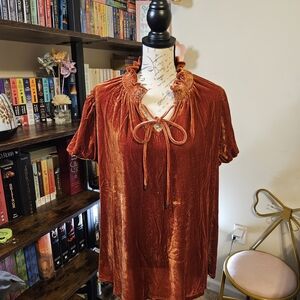 Entro Bronze Crushed Velvet Ruffled Blouse